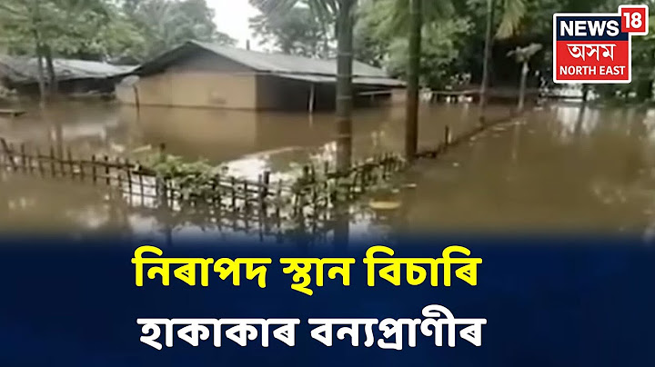Tinsukiaত বানৰ প্ৰকোপ, প্লাৱিত জিলাখনৰ ন ন অঞ্চল