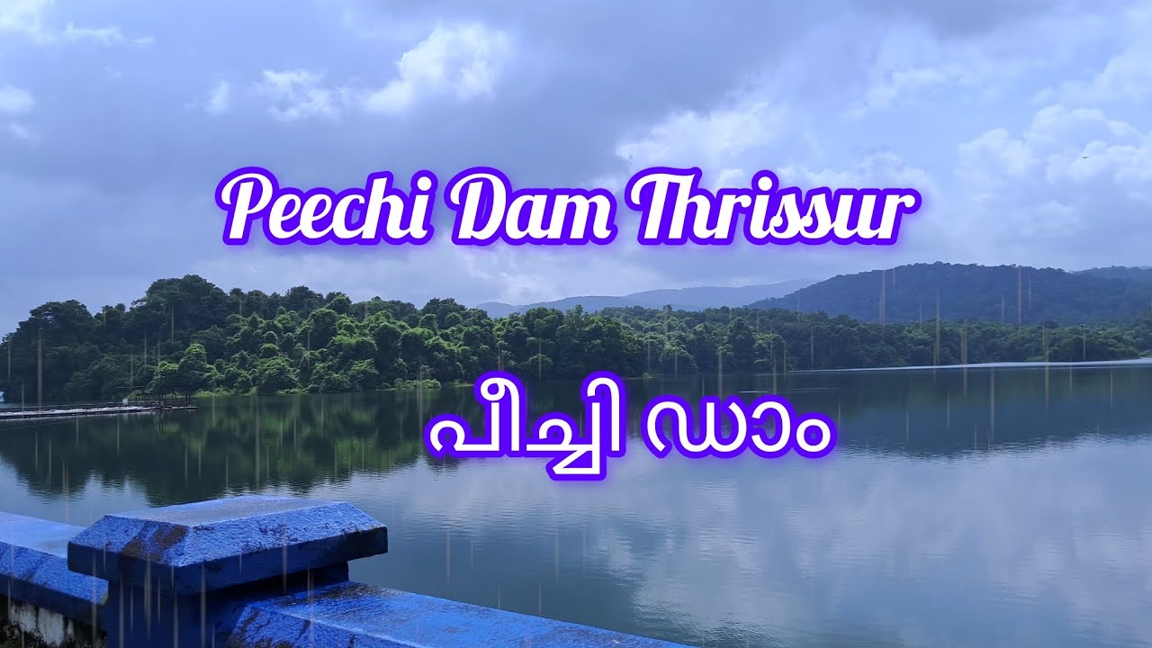 പീച്ചി ഡാം | തൃശൂരിലെ അണക്കെട്ട് | Peechi Dam Thrissur | കുട്ടവഞ്ചി സവാരി