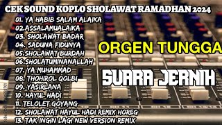 ORGEN TUNGGAL 2024 YA HABIB SALAM ALAIKA SPESIAL DANGDUT KOPLO SHOLAWAT