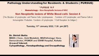 Pursue 16 F  (Uploaded):  The Structure of Lymphocytes and Plasma Cells. Lymphopoiesis