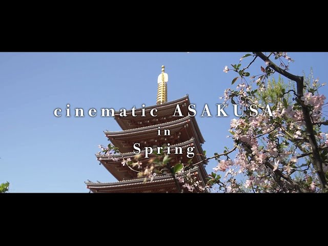 アート作品「バタフライ」 浅草寺で撮った写真をアプリで編集して作成