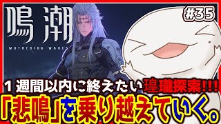 【 #鳴潮 】オオサンショウウオ「漂泊者」になる #35 【両生類系人外VTuber/半崎ウイネコ】【 #WutheringWaves 】
