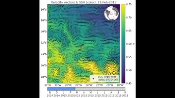 BGC-Argo float and mesocale eddies