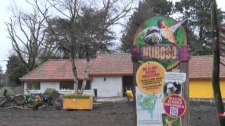 Reuzentoerako Vliegt Uit Bij Avifauna