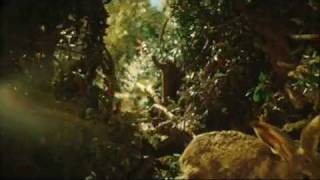 Bbc 1 Magic Forest 16X90