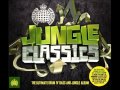 09 dj ss  the lighter jungle classics