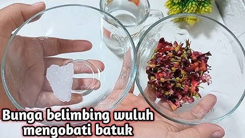 OBAT BATUK DARI  BUNGA BELIMBING WULUH