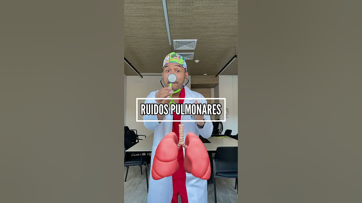 LUNG SOUNDS 🫁