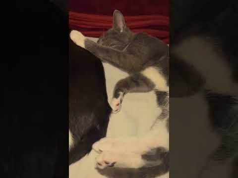    التغطيه السفره اكسبلور البخل 