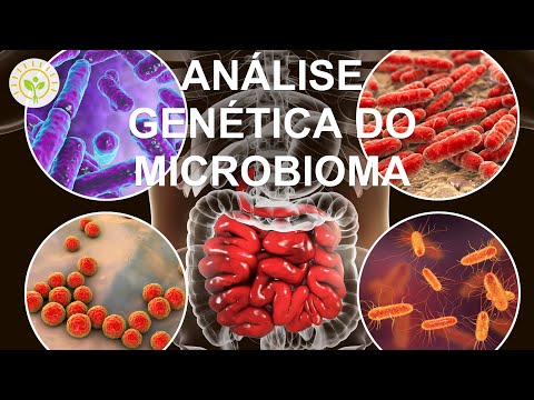 Vídeo: Microbiota Intestinal, ácidos Graxos De Cadeia Curta E Obesidade Durante A Transição Epidemiológica: O Protocolo De Estudo METS-Microbiome