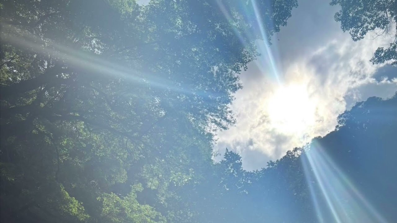 Watch sunlight | ethereal trap beat on YouTube Watch sunlight | ethereal trap beat on YouTube