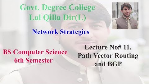 Network Strategies Lecture No 11. Path Vector Routing and BGP