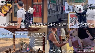 진돗개와 미국여행 준비부터 여행까지 모음집 / 강아지 여행 브이로그 / LA Travel Vlog with Korean dog