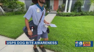 Tampa Bay mail carriers seeing dog attack uptick: how to keep yours safe