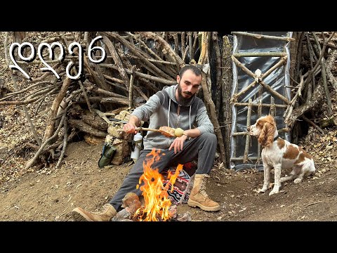 მიწისქვეშა DUGOUT სახლი დავასრულე ! დღე 6