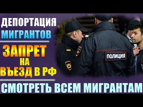 Видео: Възможна ли е легализация на еднополови бракове в Русия?