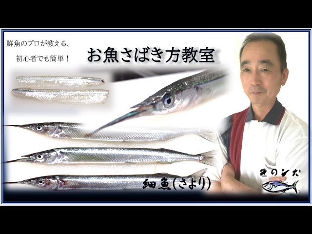 サヨリ 細魚 のさばき方 初心者用 3枚おろし 刺身 By鮮魚店 きのした生魚店 広島県東広島市西条 21 How To Fillet Halfbeak Youtube サヨリ 細魚 のさばき方 初心者用 3枚おろし 刺身 By鮮魚店 きのした生魚店 広島県東広島市西条 21 How To Fillet Halfbeak Youtube
