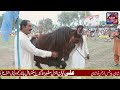 New Horse Dance Competition 2023 || Mela Peer Barkat Ali r.a Chak No 456 GB || Mela Kanjwani Mp3 Song