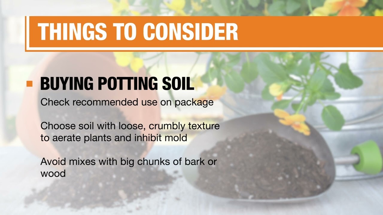 Best Potting Soil for Your Plants - The Home Depot
