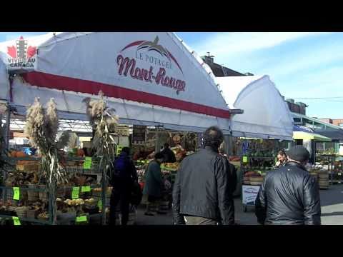 Video: Jean-Talon Market (Montrealın ən yaxşı yemək yeri)