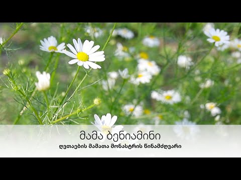 საკვირაო ქადაგება - მამა ბენიამინი (25.07.21 წ.)