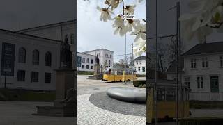 Pride of Bergen ✨Historical Trikken 🚋 #bergen #travel #norway
