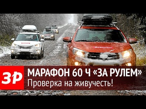 Видео: Сколько стоят 6 часов за рулем?