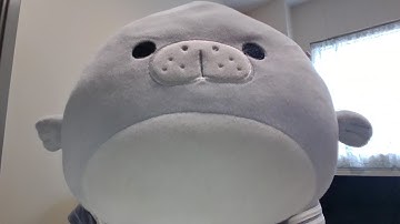 Jasmin Agustin - Retrospective Video Project (Fall 2025)