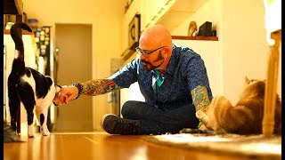 [テレビ予告] 猫ヘルパー シーズン9～猫のしつけ教えます～｜アニマルプラネット