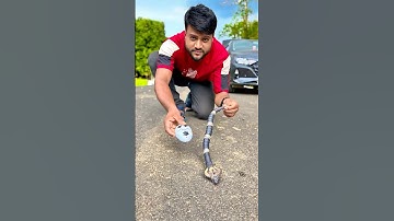 Naya Remote Control Snake 🐍Unboxing #shorts