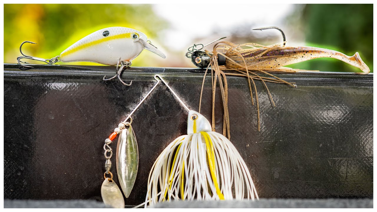 The 3 Reaction Baits You NEED For Fall Bass Fishing 