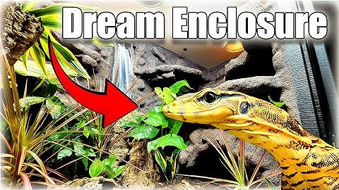 How To Make A HUGE Jungle Ecosystem (with waterfall)