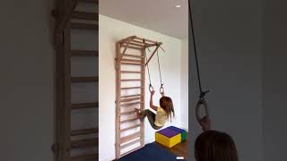 Gecko Swedish Climbing Wall