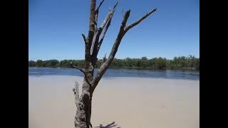 Junction Park - Wentworth NSW