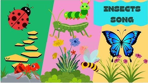 Insects song for kids | Toddler Rhymes | Bugs song | Educational songs | butterfly ladybug bumblebee