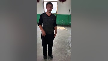 Song Style Xingyi Pi Quan & Zuan Quan 宋氏形意劈拳和钻拳