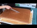 Giant Jiggly Cake Making Cutting / 巨大蛋糕製作 - Taiwanese Food