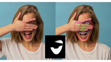 Deep Learning-Based Facial Tracker with Occlusion Map