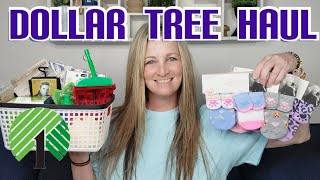 Dollar Tree Haul| New & Name Brands| Trying Products & DIY Ideas