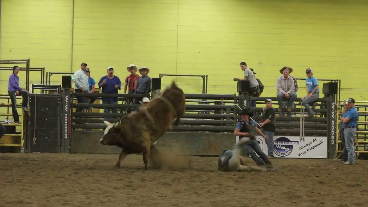 CSI April 2016 practice bulls - YouTube
