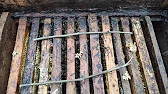 Белорусское Пчеловодство Bee&Ivtodi