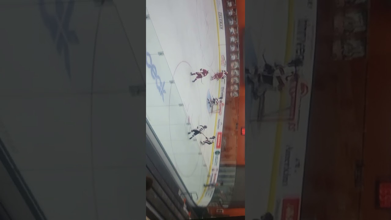 Sophomore Gibson Horyza varsity hockey highlights 2023-2024