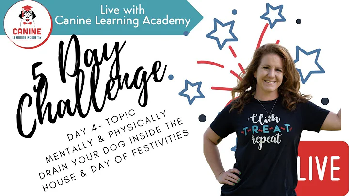 Day 4 Fireworks & Dogs with Julie Fryman