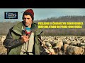 - POSLEDNJI U ČOBANSTVU GANIBEGOVIĆA IBRO IMA STADO OD PREKO 1000 OVACA Athe last shepherd