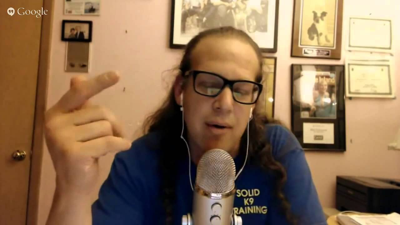 dog trainer in delhi What Would Jeff Do 7 15 2015 Dog Training Radio Show
