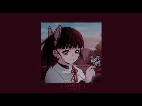 𝐍𝐎𝐓𝐈𝐂𝐄 𝐌𝐎𝐄 𝐒𝐇𝐎𝐏 𝐒𝐋𝐎𝐖𝐄𝐃 