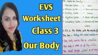 Class 3 EVS Topic :-Our Body / EVS Worksheet for class 3