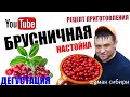 Настойка На Бруснике. Рецепт Приготовления. Дегустация.