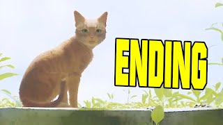 STRAY TRUE ENDING (PC Cat Game)