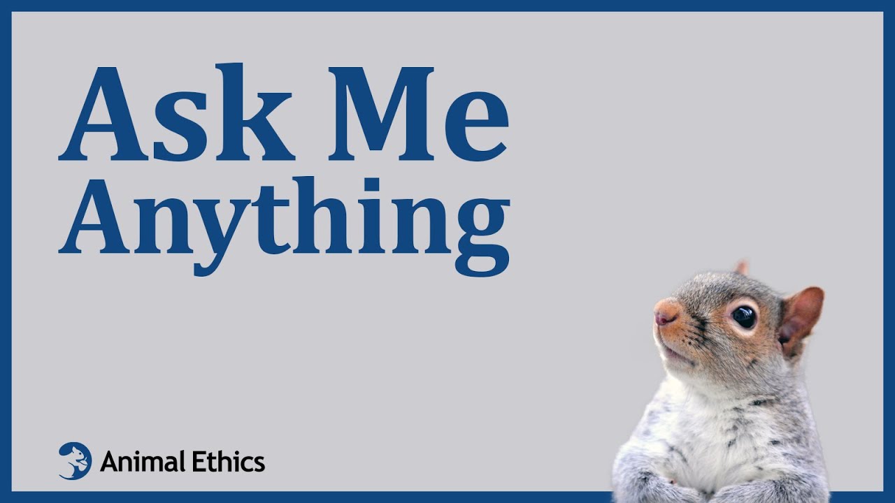 International Animal Rights Day: Ask me anything session - YouTube